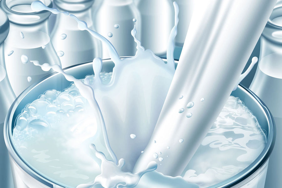 Мини-завод по переработке молока 10 000 литров в сутки